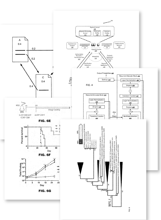 Patents dataset visualization